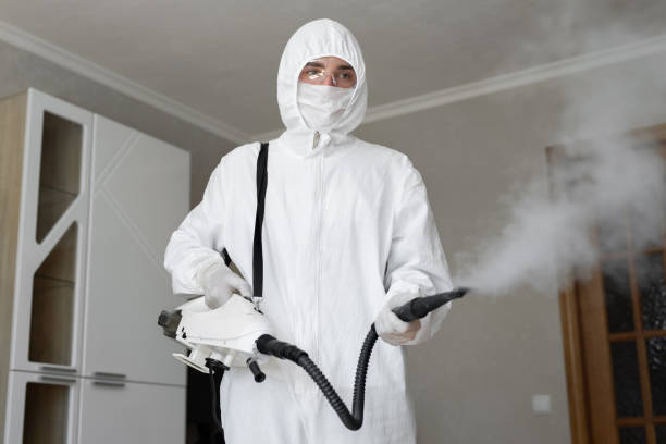 Best Forensic Mold Investigation  in East Pasadena, CA